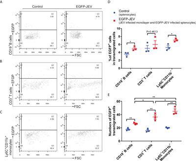 Corrigendum: brain microvascular endothelial cell-derived HMGB1 facilitates monocyte adhesion and transmigration to promote JEV neuroinvasion